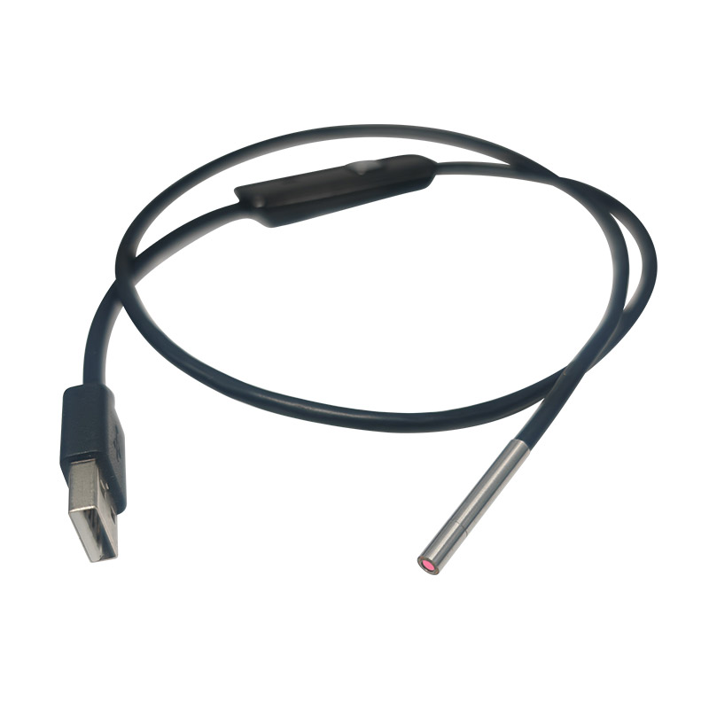 Auris Canal Camera